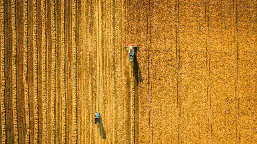 Innovative Startup: Agrosmart Lets Farmer Monitor Plant Growth and Perform Farming Automation