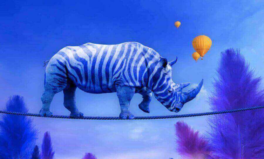 How to successfully harness the speed and efficiency of a startup – corporate partnership.