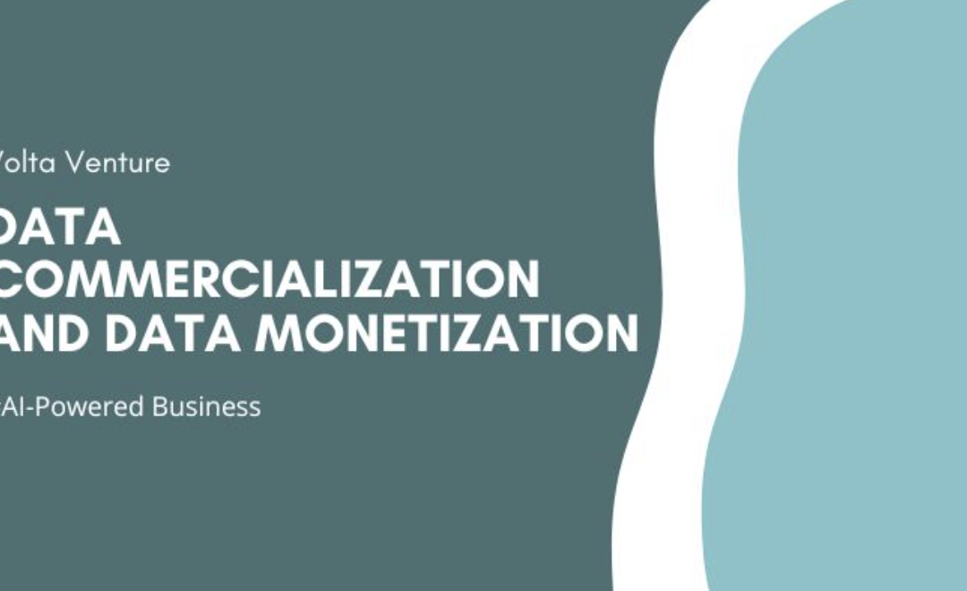 Data Commercialization and Data Monetization